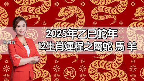 2025蛇|麥玲玲2025蛇年運程｜12生肖財運+愛情總運勢全面睇+開運大